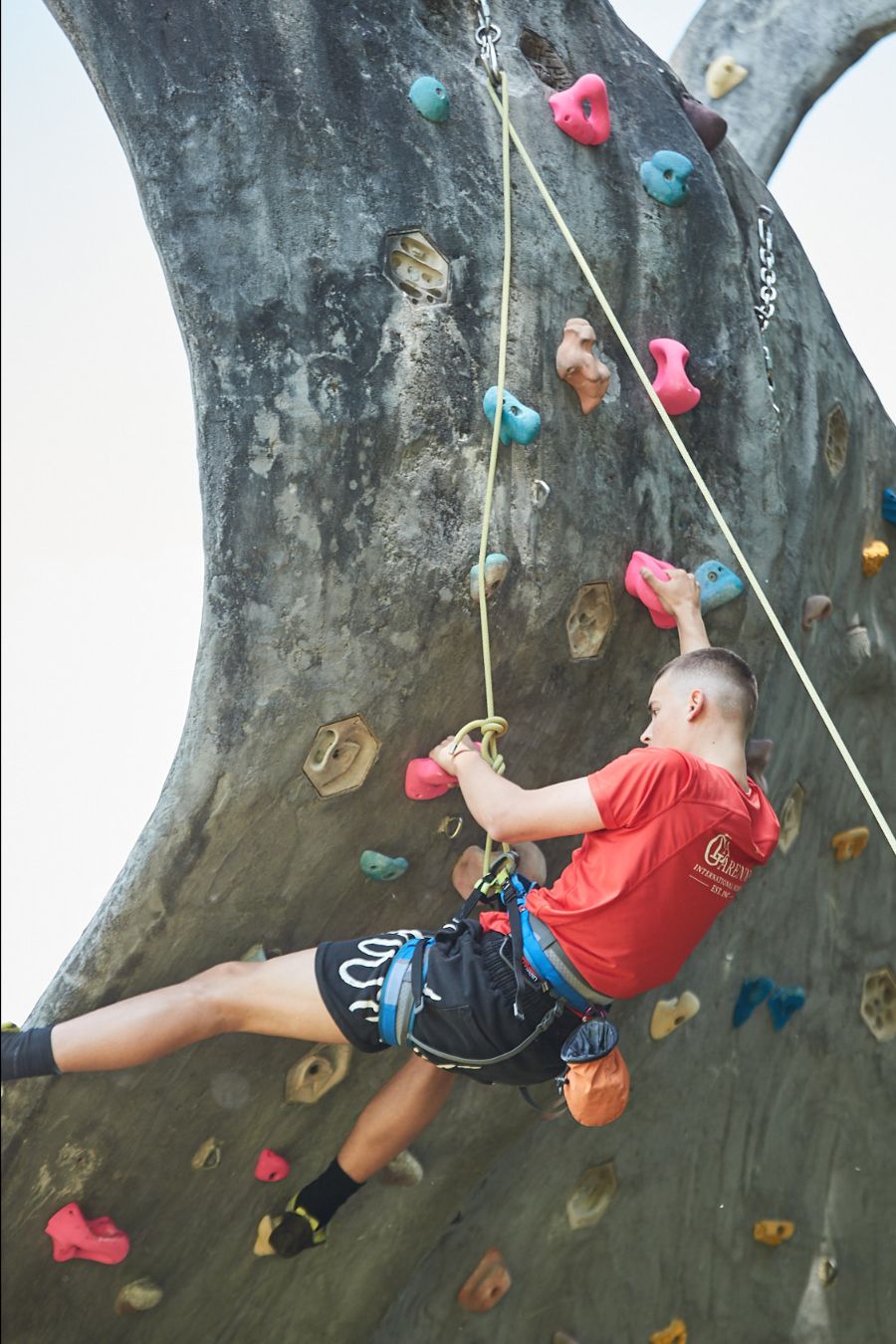 climbing wall